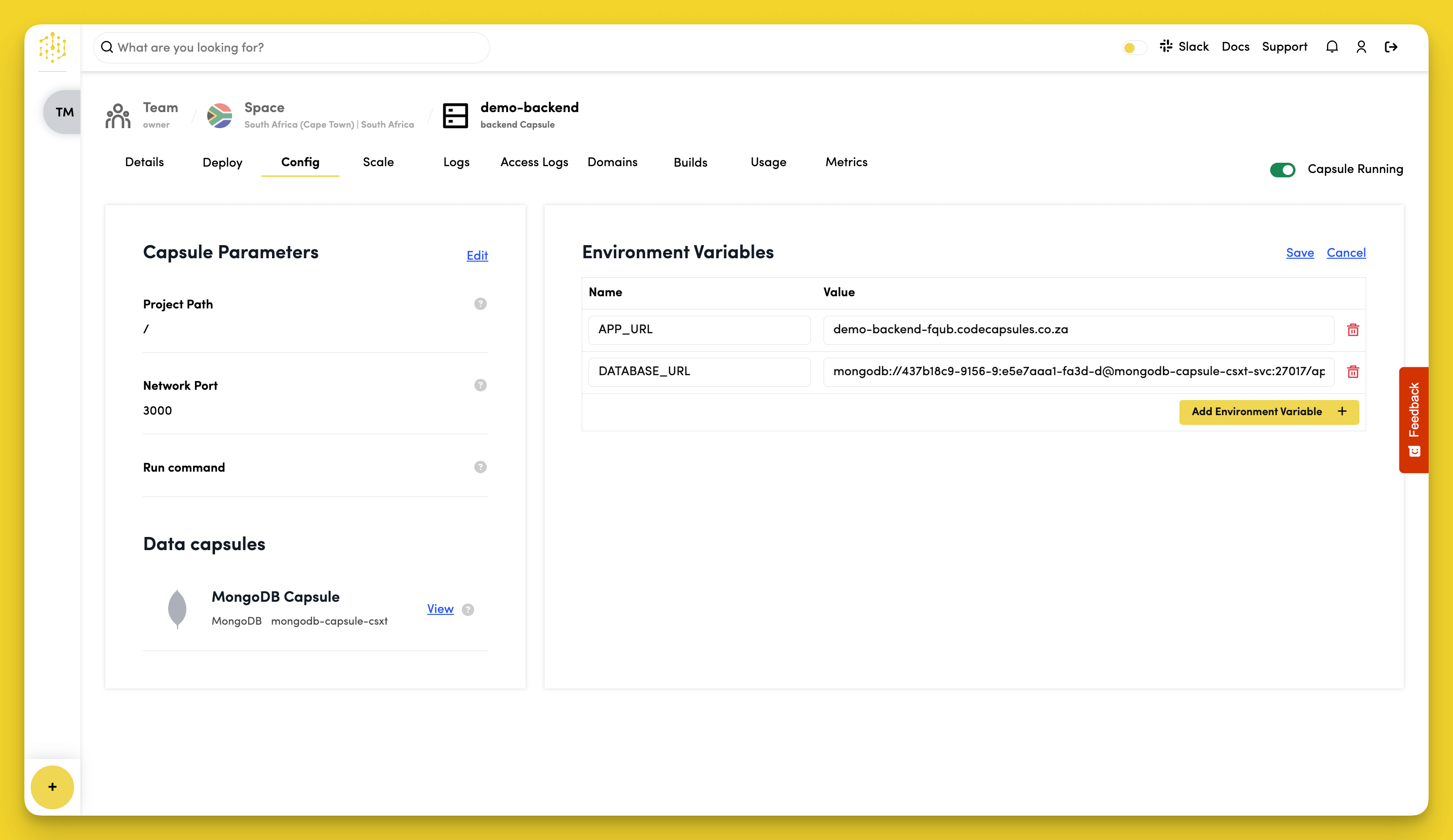 Connect Data Capsule