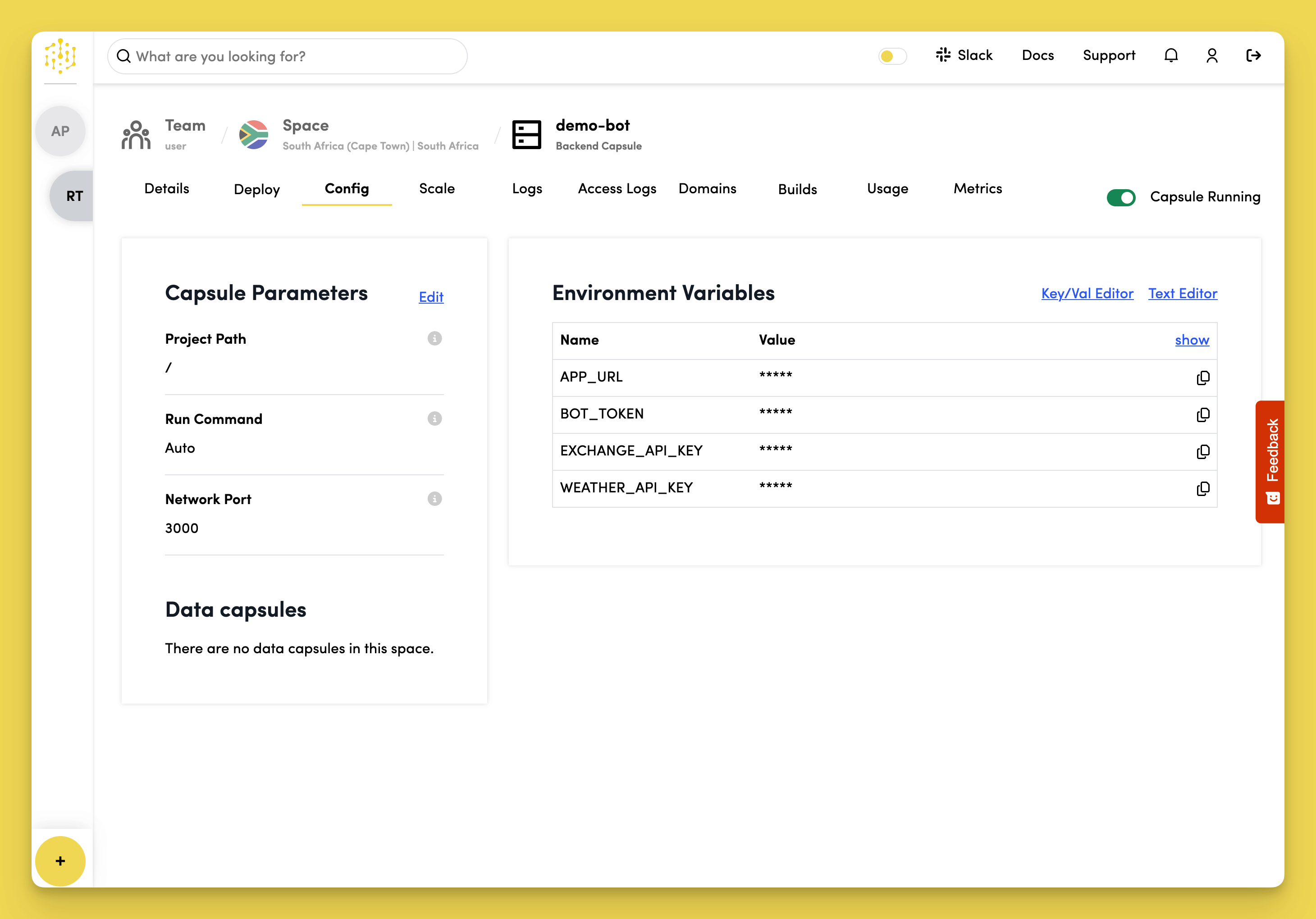 Bot API Key Environment Variable