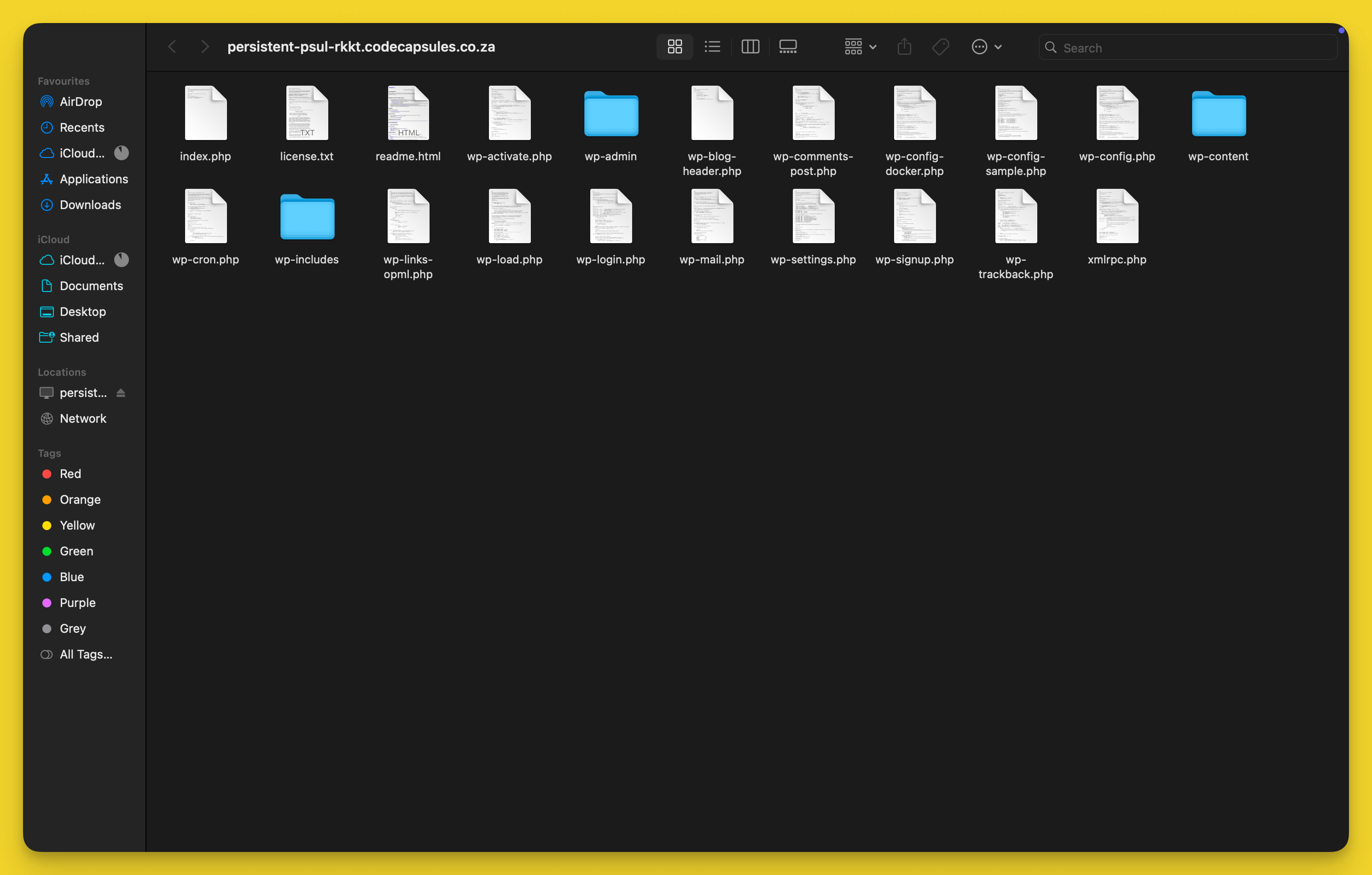 See Your Files Locally