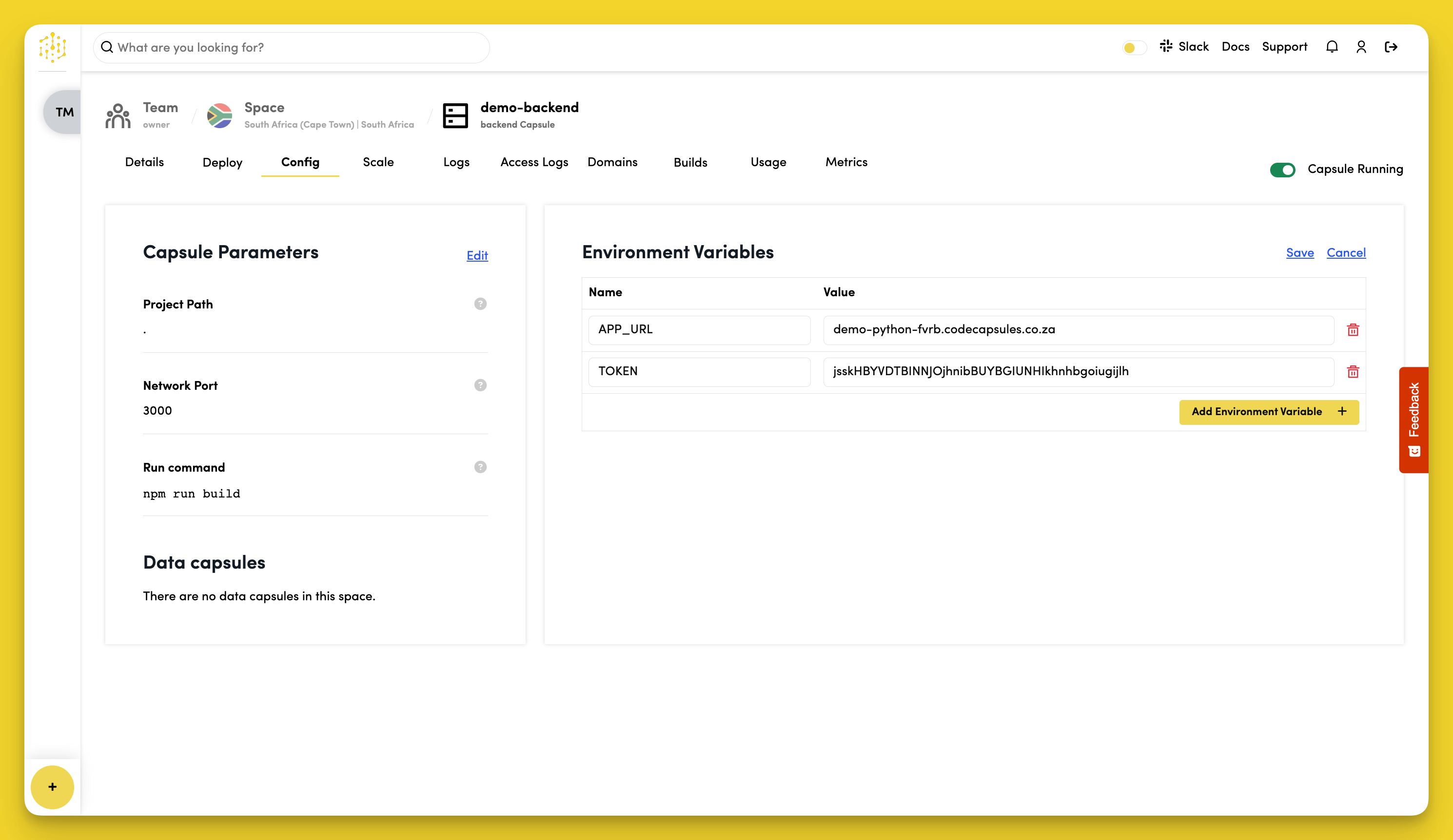 Token Environment Variable